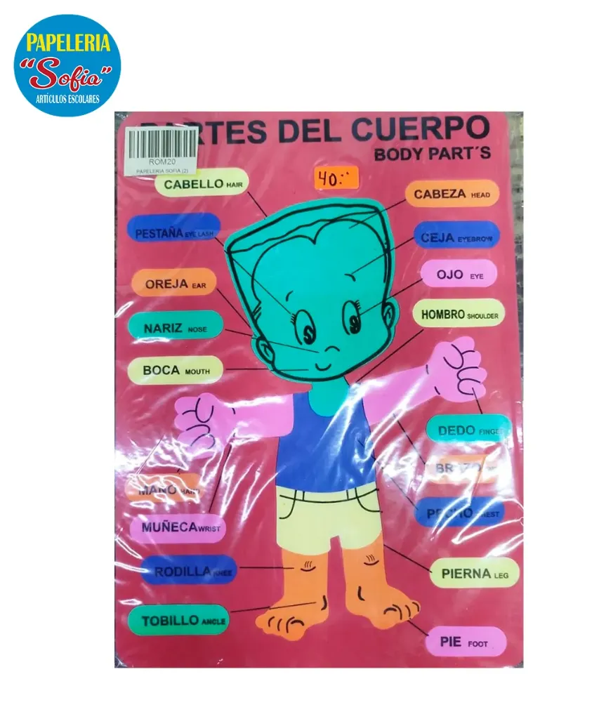 Foamy Cuerpo Humano